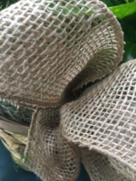 Bow from Dad's plant